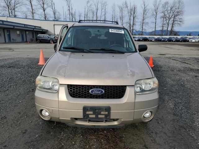 2007 Ford Escape XLT