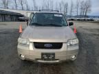 2007 Ford Escape XLT