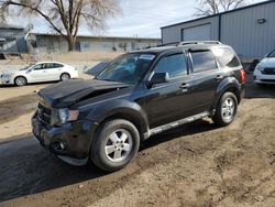 2011 Ford Escape XLT en venta en Albuquerque, NM