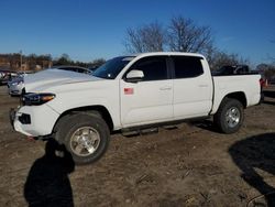 2023 Toyota Tacoma Double Cab en venta en Baltimore, MD