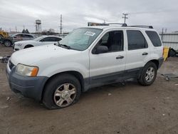 2003 Ford Escape XLT en venta en Chicago Heights, IL