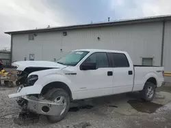 Ford Vehiculos salvage en venta: 2014 Ford F150 Supercrew