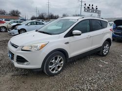 Ford salvage cars for sale: 2014 Ford Escape Titanium