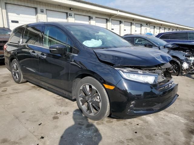 2023 Honda Odyssey Elite