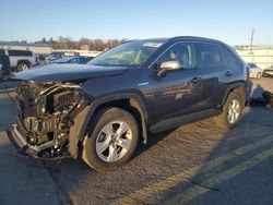 Salvage cars for sale at Pennsburg, PA auction: 2021 Toyota Rav4 XLE