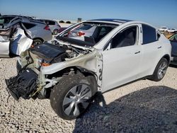 Salvage cars for sale at Taylor, TX auction: 2023 Tesla Model Y