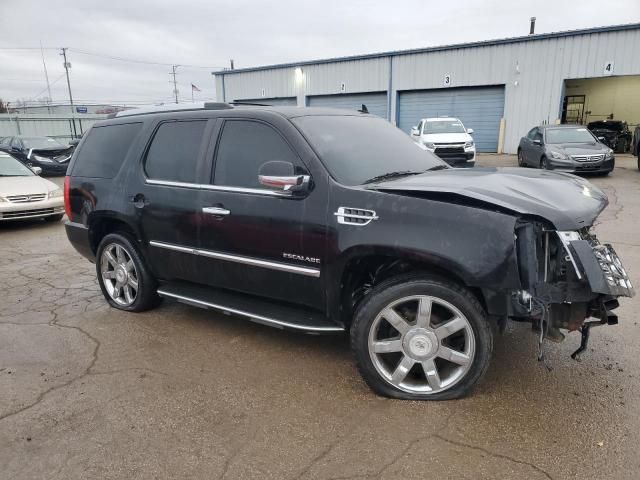 2010 Cadillac Escalade Luxury