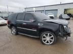 2010 Cadillac Escalade Luxury