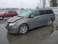 Honda Odyssey exl salvage cars for sale: 2016 Honda Odyssey EXL