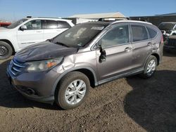 Salvage cars for sale at Brighton, CO auction: 2012 Honda CR-V EXL