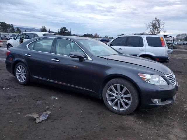 2010 Lexus LS 460