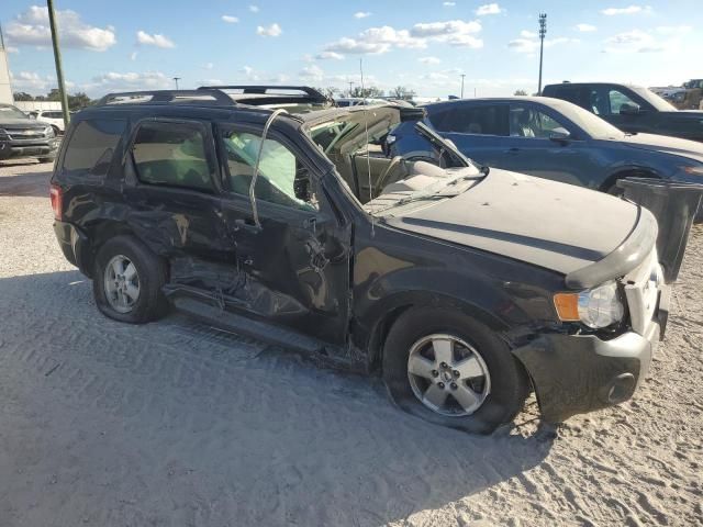 2011 Ford Escape XLT