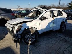 Salvage cars for sale at Lexington, KY auction: 2024 Toyota Rav4 XLE