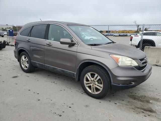 2010 Honda CR-V EXL