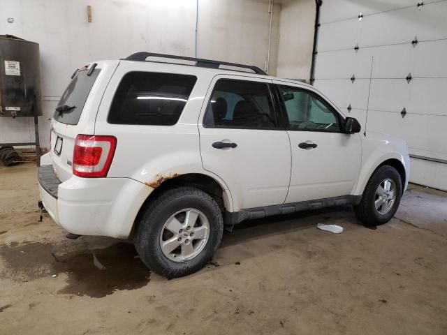 2010 Ford Escape XLT