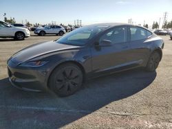 Salvage cars for sale from Copart Rancho Cucamonga, CA: 2024 Tesla Model 3