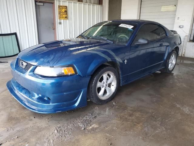 2000 Ford Mustang