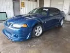 2000 Ford Mustang