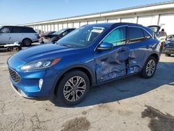 Salvage cars for sale at Louisville, KY auction: 2022 Ford Escape SEL