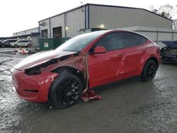 Salvage cars for sale at Gastonia, NC auction: 2023 Tesla Model Y