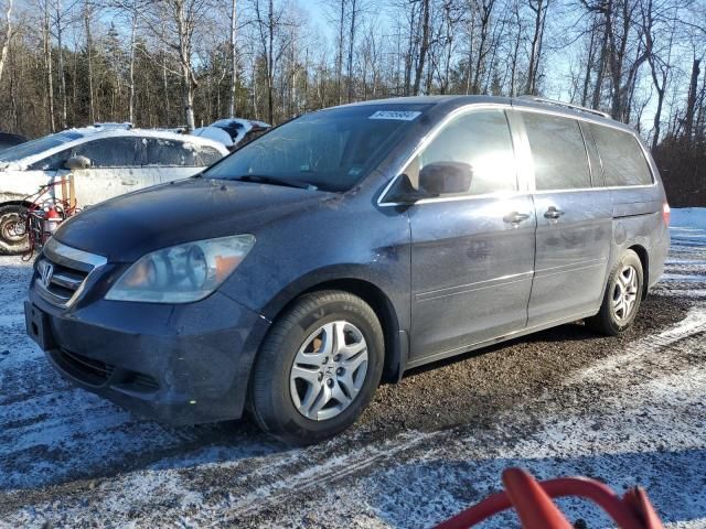 2006 Honda Odyssey EXL