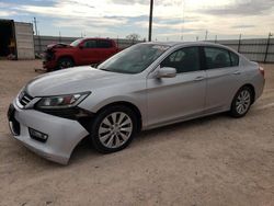 Salvage cars for sale at Andrews, TX auction: 2013 Honda Accord EXL