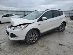 Ford Vehiculos salvage en venta: 2014 Ford Escape SE