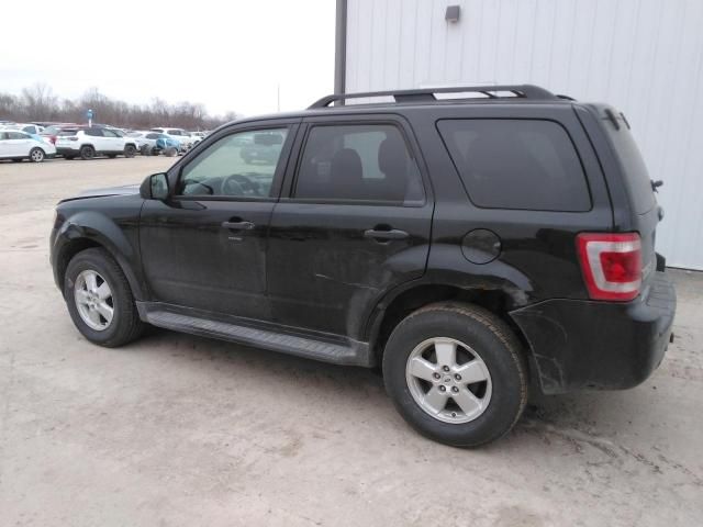 2010 Ford Escape XLT