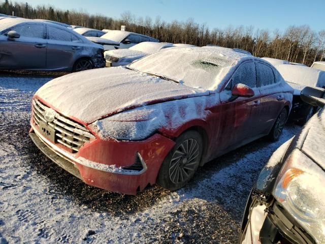 2020 Hyundai Sonata Hybrid