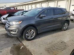 2017 Ford Edge SEL en venta en Louisville, KY