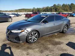 Nissan Maxima salvage cars for sale: 2019 Nissan Maxima S