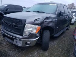 Salvage cars for sale from Copart Sacramento, CA: 2013 Ford F150 Supercrew