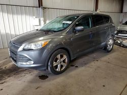 Salvage cars for sale at Pennsburg, PA auction: 2014 Ford Escape SE