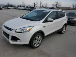 Salvage cars for sale at Bridgeton, MO auction: 2016 Ford Escape Titanium