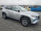 2023 Hyundai Tucson Blue