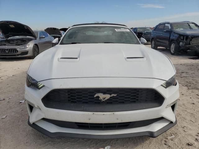 2019 Ford Mustang