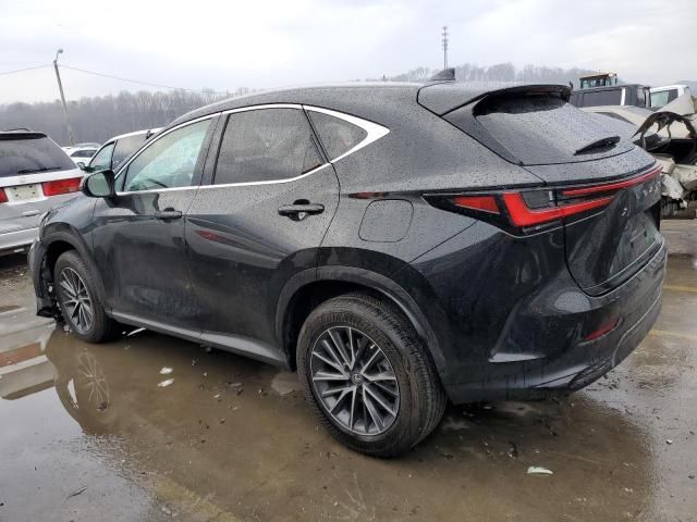 2023 Lexus NX 350H