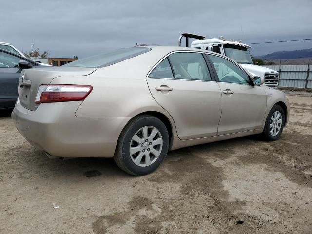 2008 Toyota Camry Hybrid