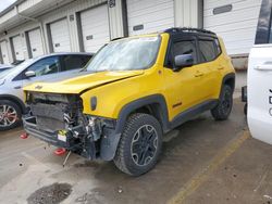 Salvage cars for sale at Louisville, KY auction: 2017 Jeep Renegade Trailhawk