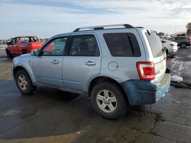 2008 Ford Escape HEV