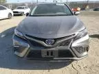 2024 Toyota Camry SE Night Shade