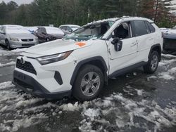 Toyota rav4 xle salvage cars for sale: 2024 Toyota Rav4 XLE