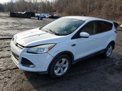 Salvage cars for sale from Copart Marlboro, NY: 2014 Ford Escape SE