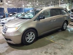 Honda salvage cars for sale: 2013 Honda Odyssey EX