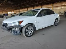 Salvage cars for sale at Phoenix, AZ auction: 2008 Honda Accord EX