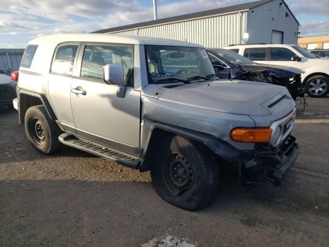 2009 Toyota FJ Cruiser