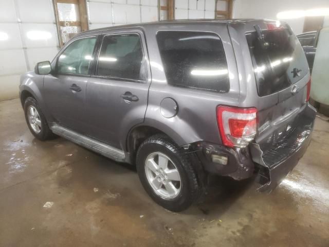 2010 Ford Escape XLS