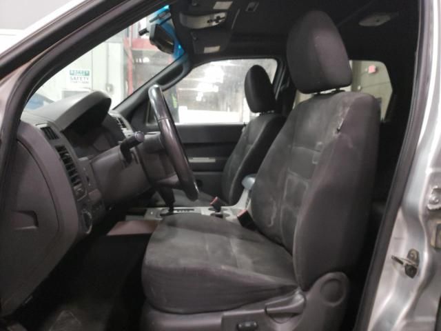 2009 Ford Escape XLT