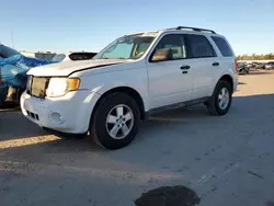 Salvage SUVs for sale at auction: 2009 Ford Escape XLT