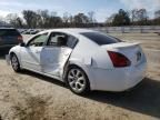 2007 Nissan Maxima SE